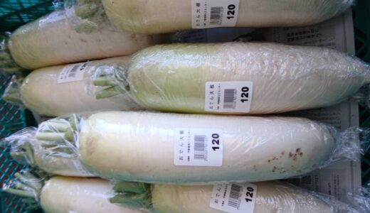 旬のおいしさ、並んでいます