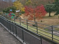 宮リバーパーク度会の風景 紅葉