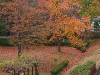 宮リバーパーク度会 紅葉