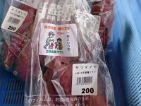 さつまいも 立岡営農クラブさんのサツマイモ