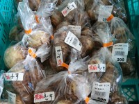 サトイモ 赤柄 まご芋